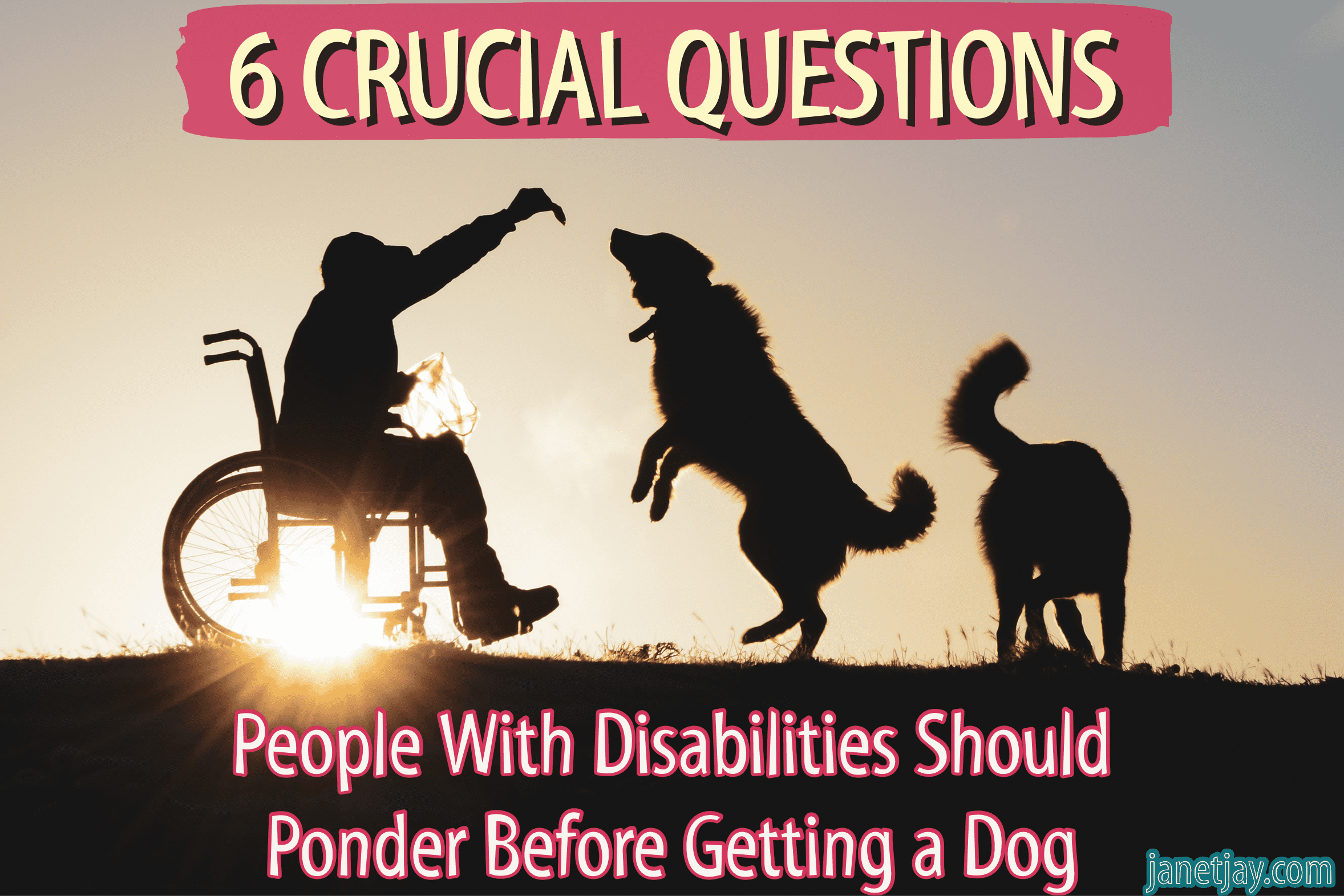 6 Qs People W/Disabilities Should Ask Before Getting a Dog