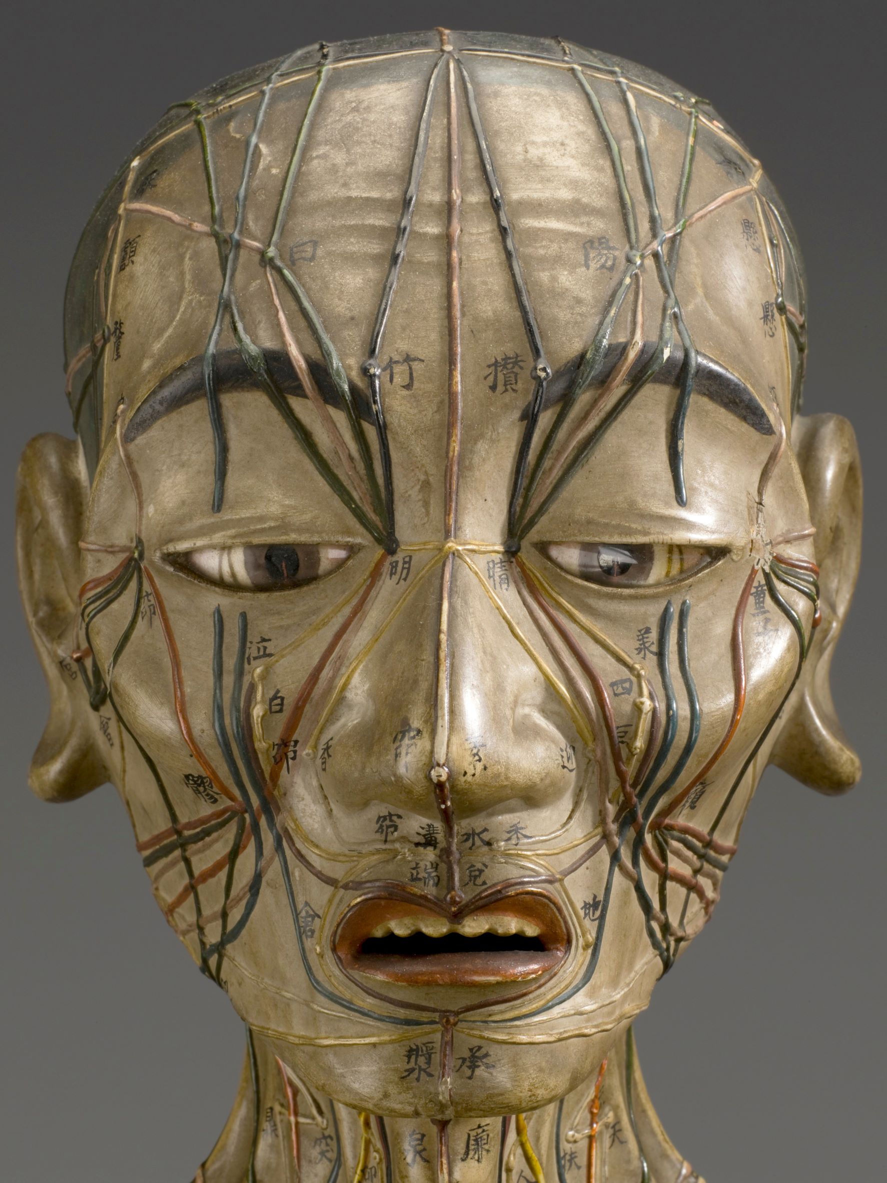 Wooden acupuncture model, Asia, 1600s. Front detail view of head. Grey background.