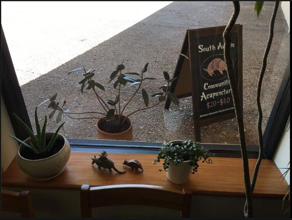 south austin community acupuncture front window with sandwich board sign with name and various plants, succulents and toy dinos on the windowsill 