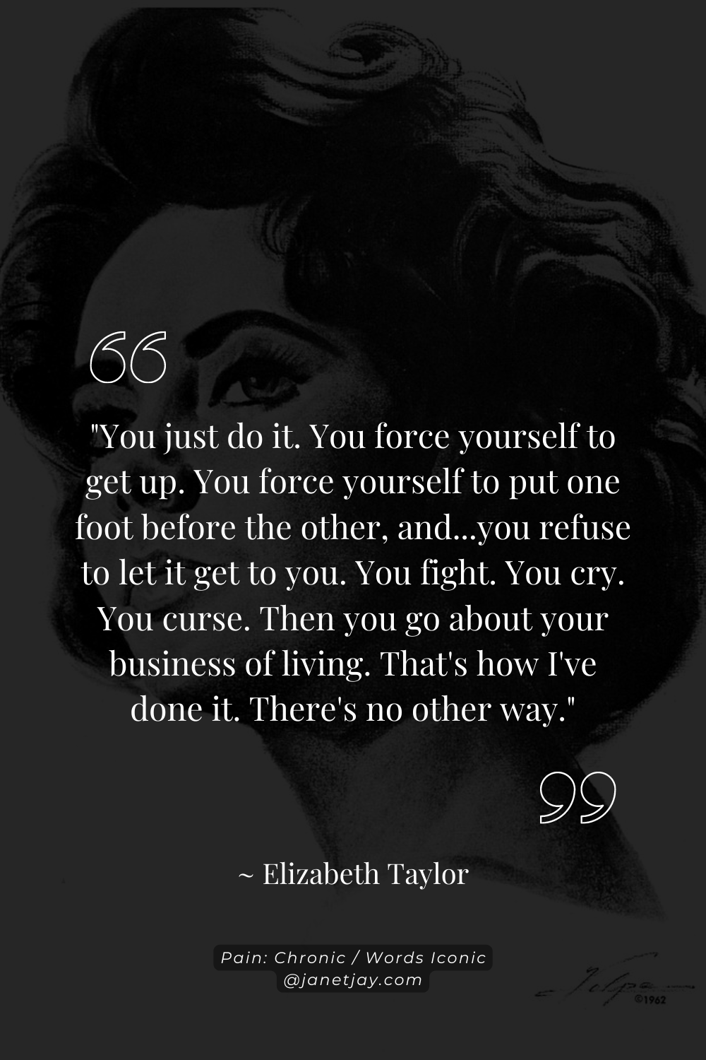 "You just do it. You force yourself to get up. You force yourself to put one foot before the other, and...you refuse to let it get to you. You fight. You cry. You curse. Then you go about your business of living. That's how I've done it. There's no other way." Elizabeth Taylor janetjay.com